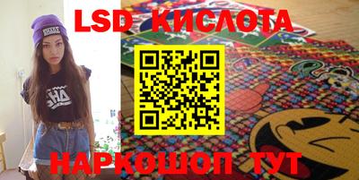 гидропоника Камышлов