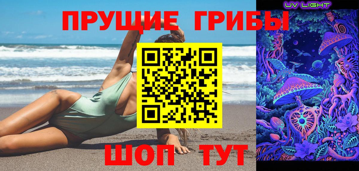 Михайловск  Псилоцибиновые грибы Psilocybe  Вход с VPN 